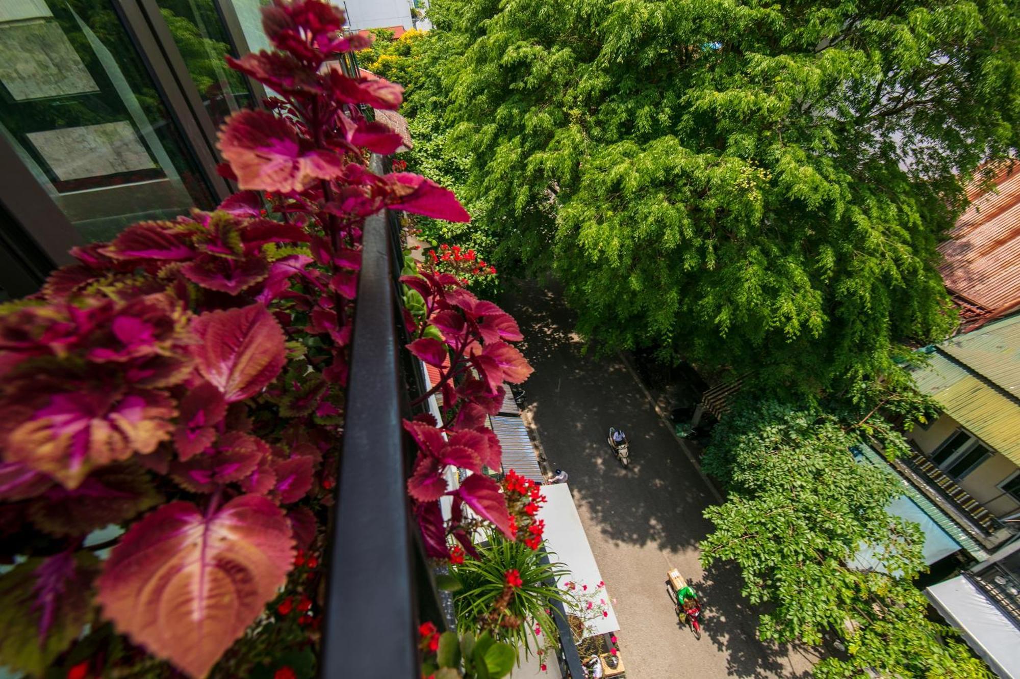 จางจาง พรีเมียม โฮเต็ล Hotel ฮานอย ภายนอก รูปภาพ